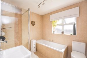 Photo 18- click for photo gallery